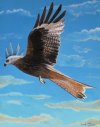 Red Kite created 2005