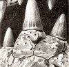 Crocodile Teeth created 1993
