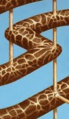 Intelligent Structure 2 (Close Up)