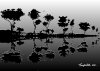 Metal Treeline 1 created 2007