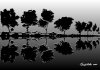 Metal Treeline 3 created 2007