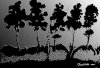 Metal Treeline 4 created 2007