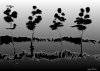Metal Trees Four All created 2004