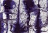 Plasma 7 created 2000