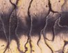 Plasma Storm (Close Up)