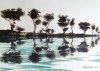 Treeline 1 created 1990