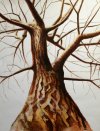 White Poplar 1 created 1993