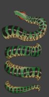Snake Anaconda