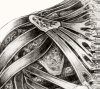 Tattoo Android Shoulders (Close Up)