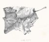 SL08