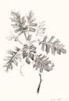 SL09