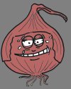 Krusty Toppings Red Onion