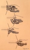 Archery Draws