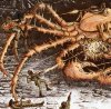 Spidercrab Fight (Close Up)