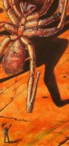 Spiderkill (Close Up)