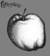 Stippling