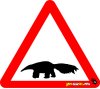 Anteater