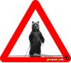Bear Grizzly 2