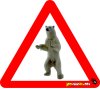 Bear Polar Dissorder