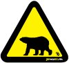 Bear, Polar