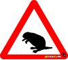 Beaver