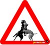 Dogfight