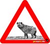 Hyena