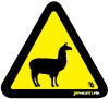 Llama