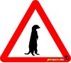 Meerkat Army