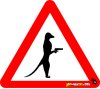 Meerkat Army, Desert Eagle