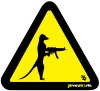 Meerkat Army, MP5