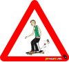 Old Skater
