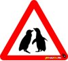 Penguins