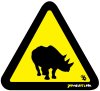 Rhino