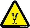Roadrunner