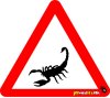 Scorpion