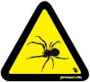 Spider 2
