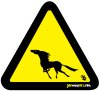 Wild Horses