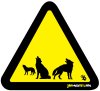 Wolfpack 2