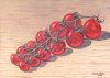 Vine Tomatoes - Time-Lapse